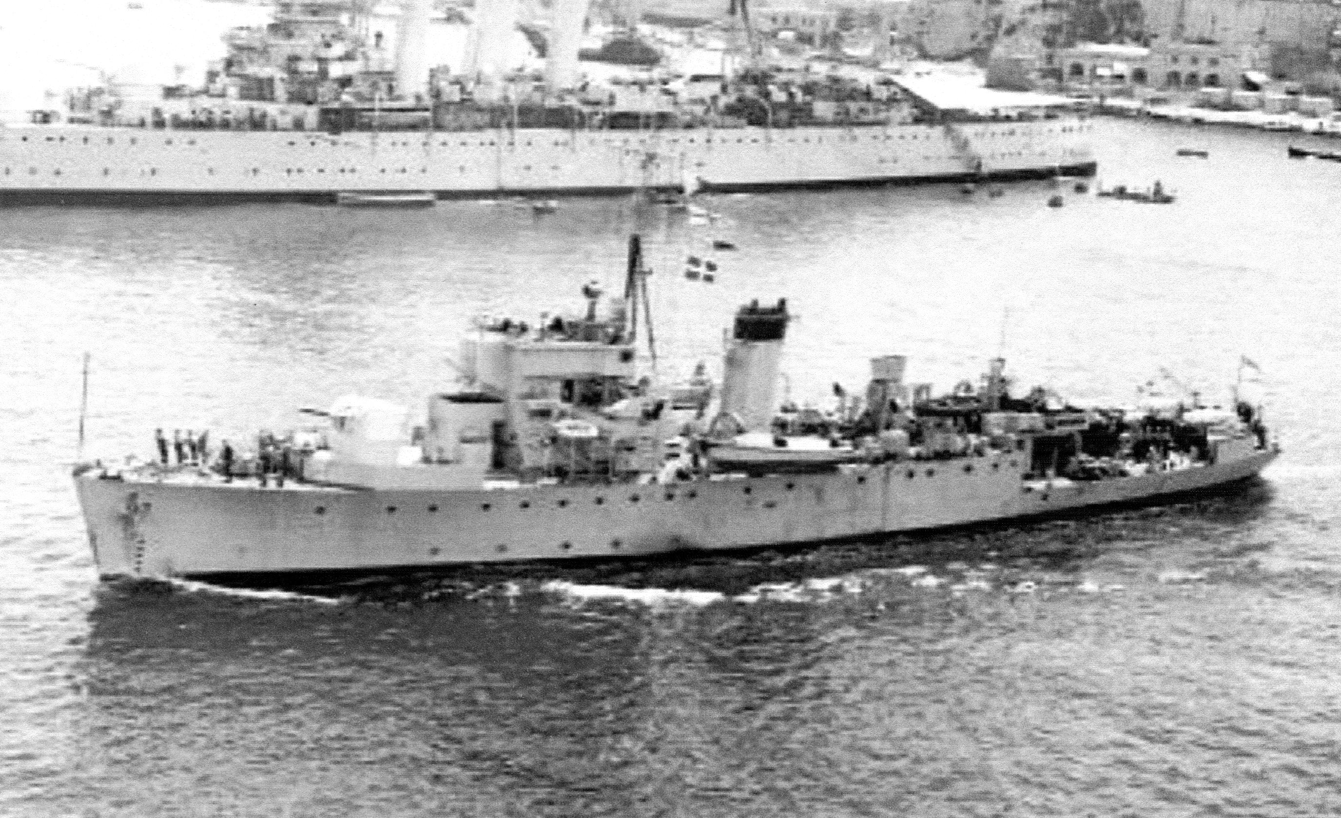 HMS Truelove.jpg